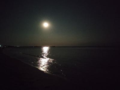 Прикрепленное изображение: IMG_20210723_223454_resize_69.jpg